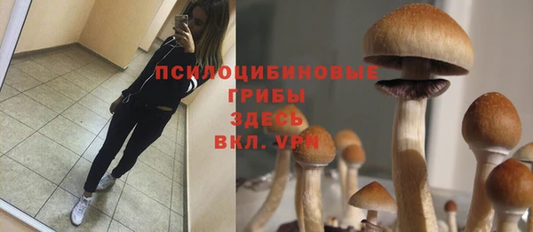 кокаин перу Алзамай