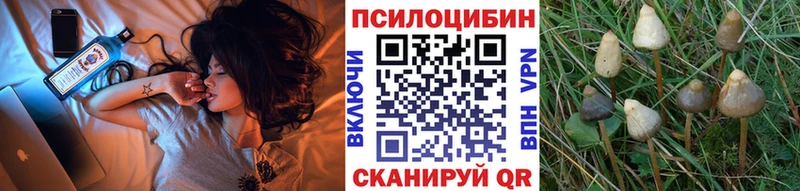 Галлюциногенные грибы мицелий  Купить  Кяхта 